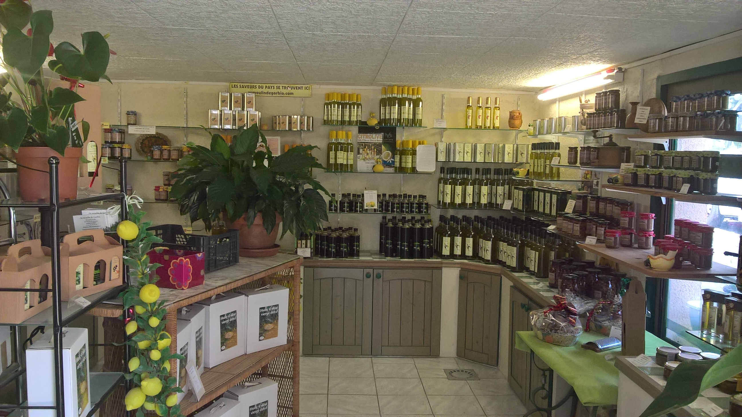 Journes Europennes du Patrimoine - Visite Producteur de Citron de Menton IGP