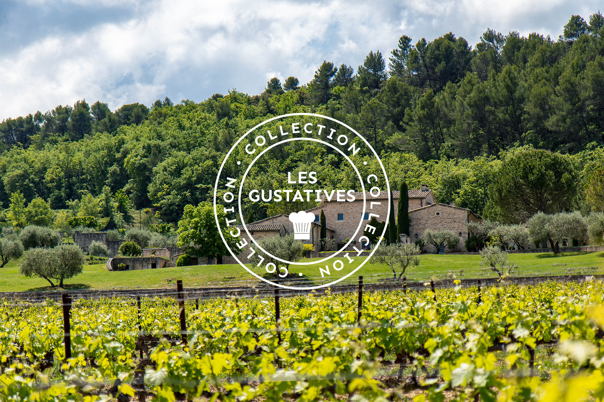 MAS EDEM x LA GRENOUILLE BLEUE - Atelier dgustation / Accords inattendus : vin & spiruline