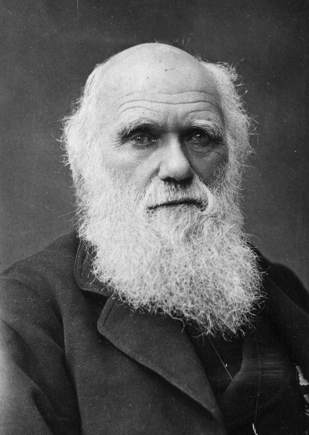 Quoi de neuf aprs Charles Darwin ? - Evolutionnistes versus crationnistes