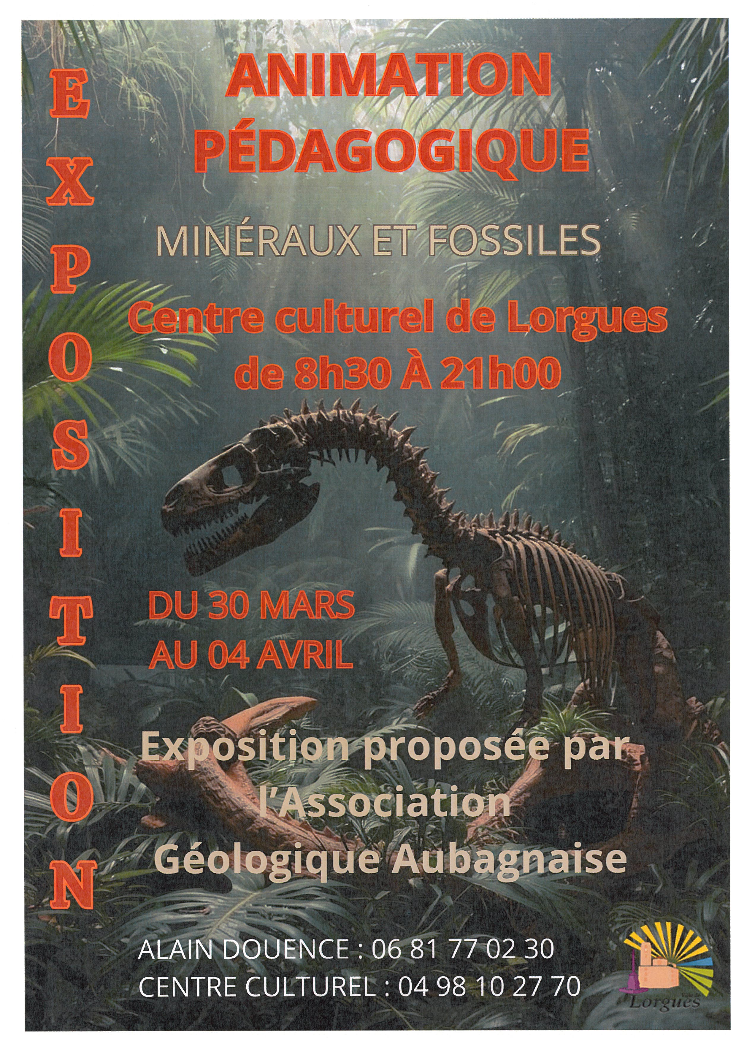 Exposition de Min�raux et Fossiles de M. Alain Douence