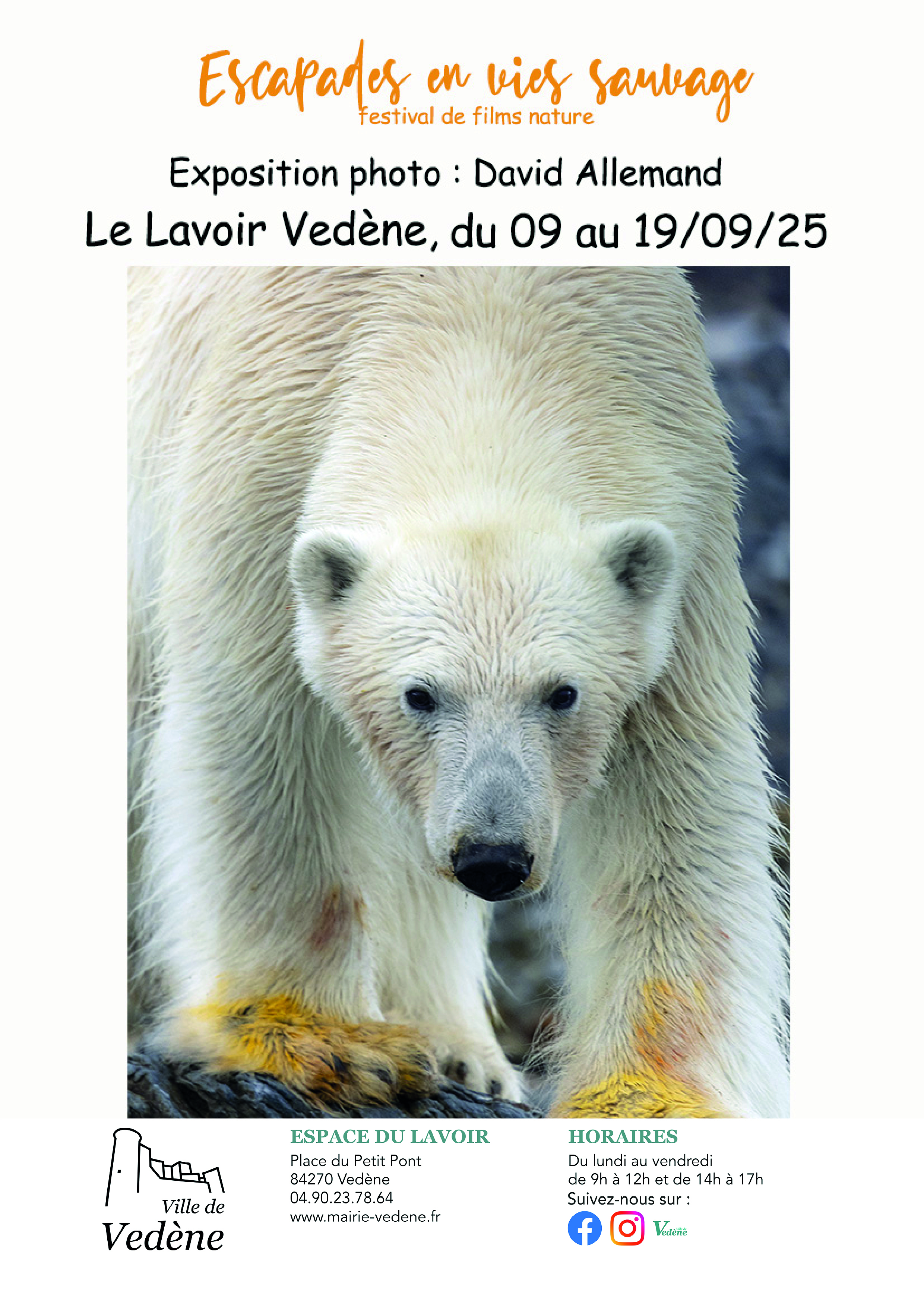 Exposition de photographies de David Allemand