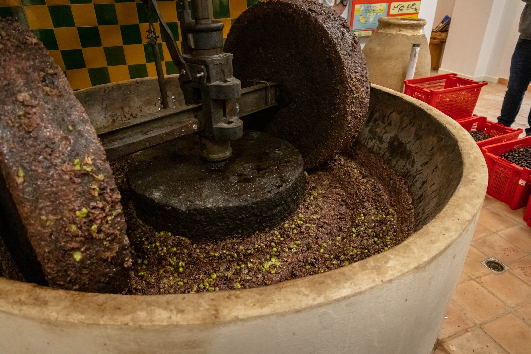Atelier Terroir et Patrimoine : L'olive dans tous ses tats