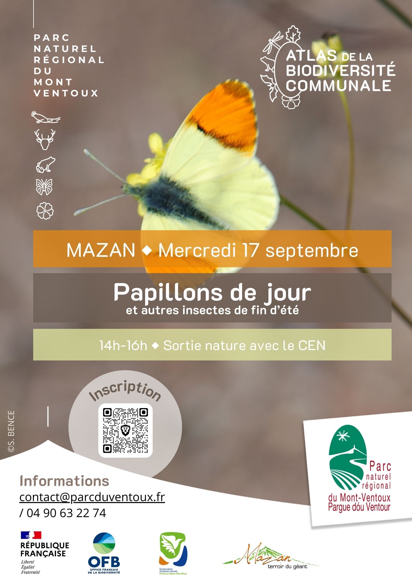 Sortie Biodiv'ABC : Papillons de jour et autres insectes de fin d't