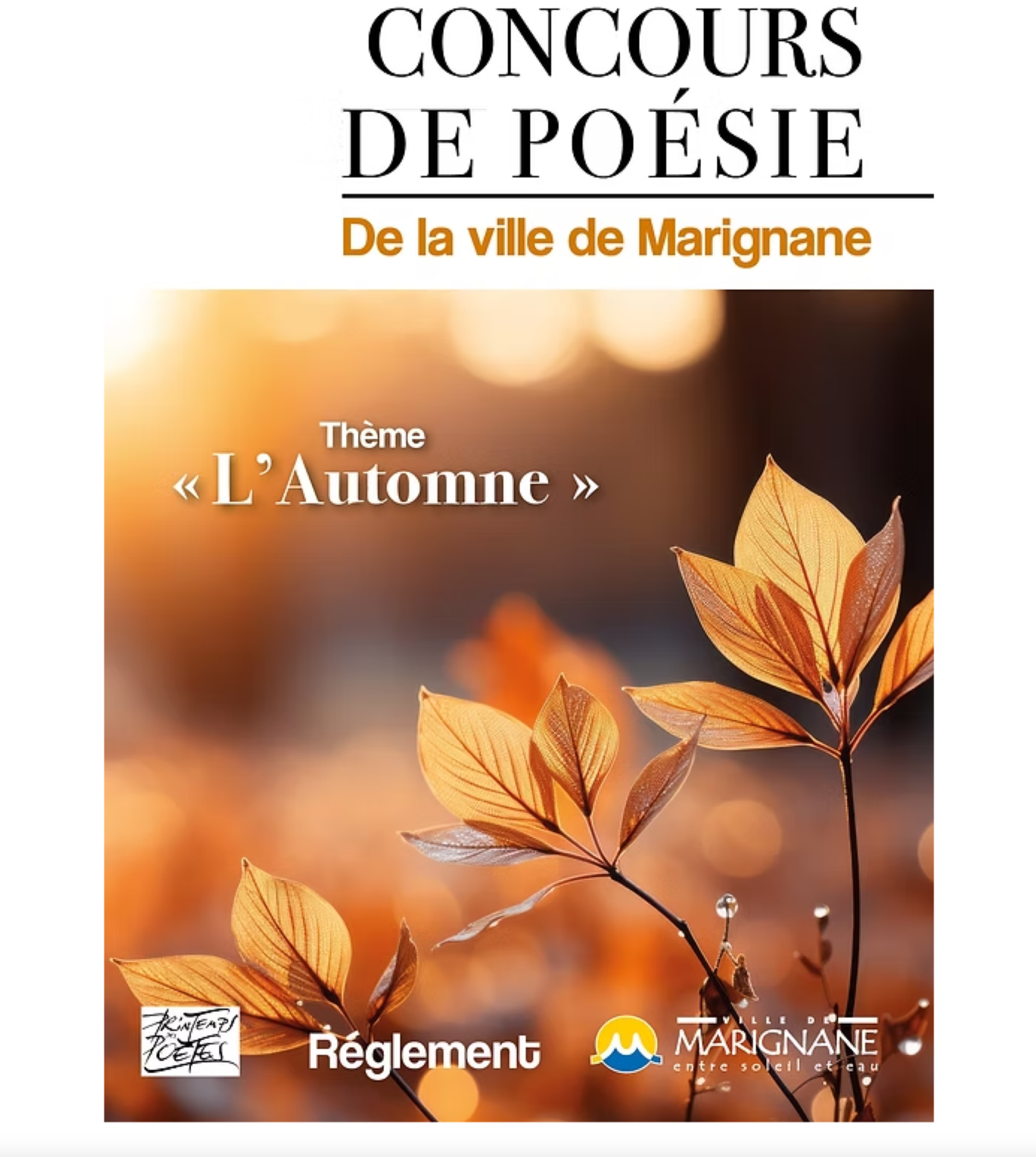 Remise des prix du concours de posie