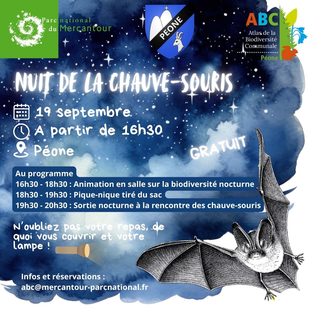 Nuit de la chauve-souris
