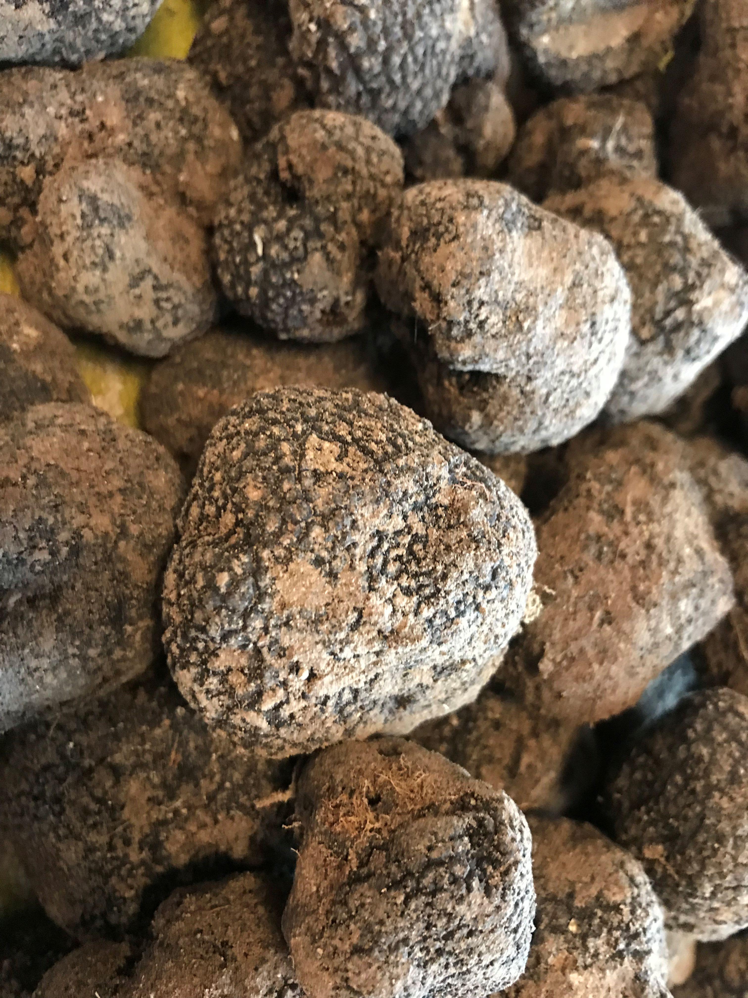 Festival Ventoux Saveurs : Soire d'exception autour de la truffe : Confrence & dner