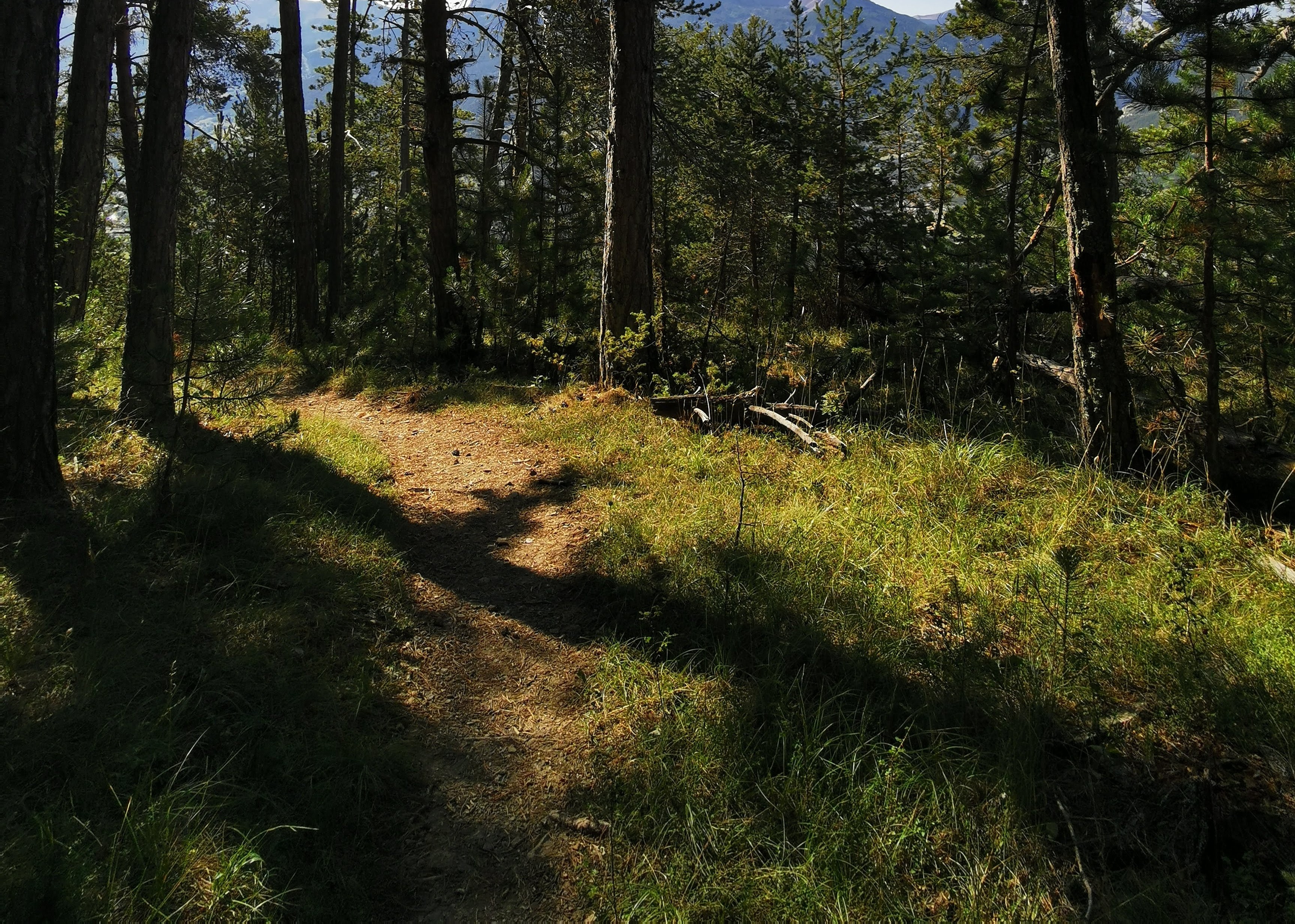 Festival de la biodiversit�