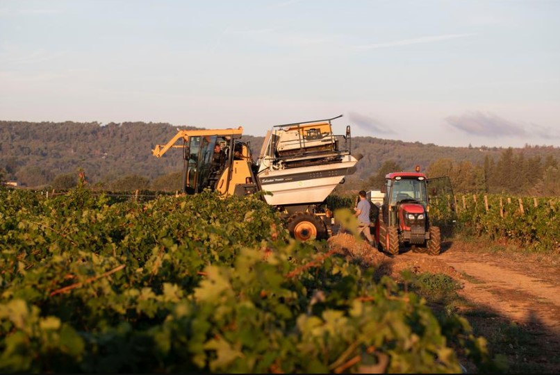 visite de la Passion - vendanges et BASTIDE