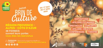 Concert Jazz manouche