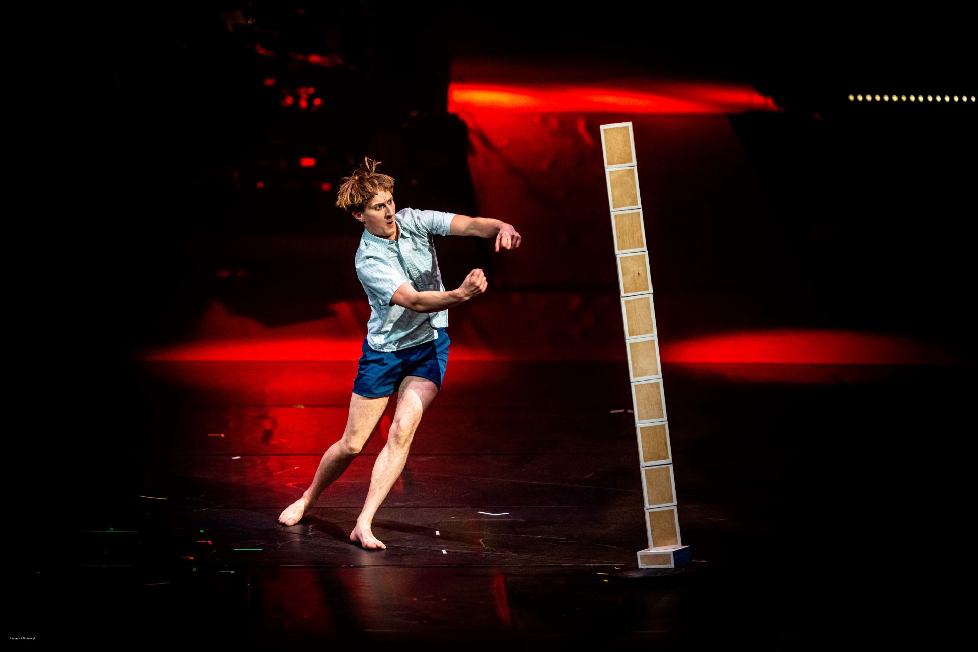 Quand a lche, cirque embot