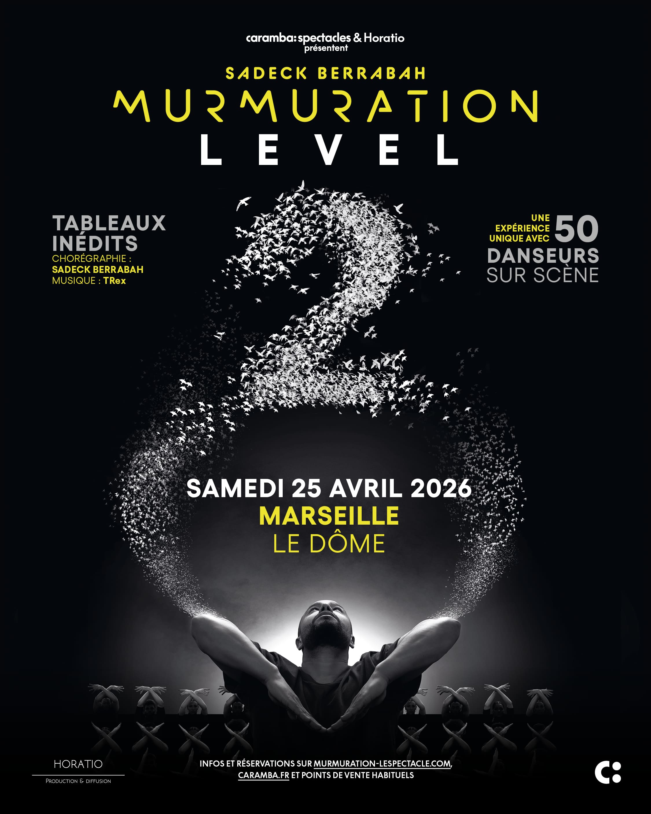 Murmuration level 2