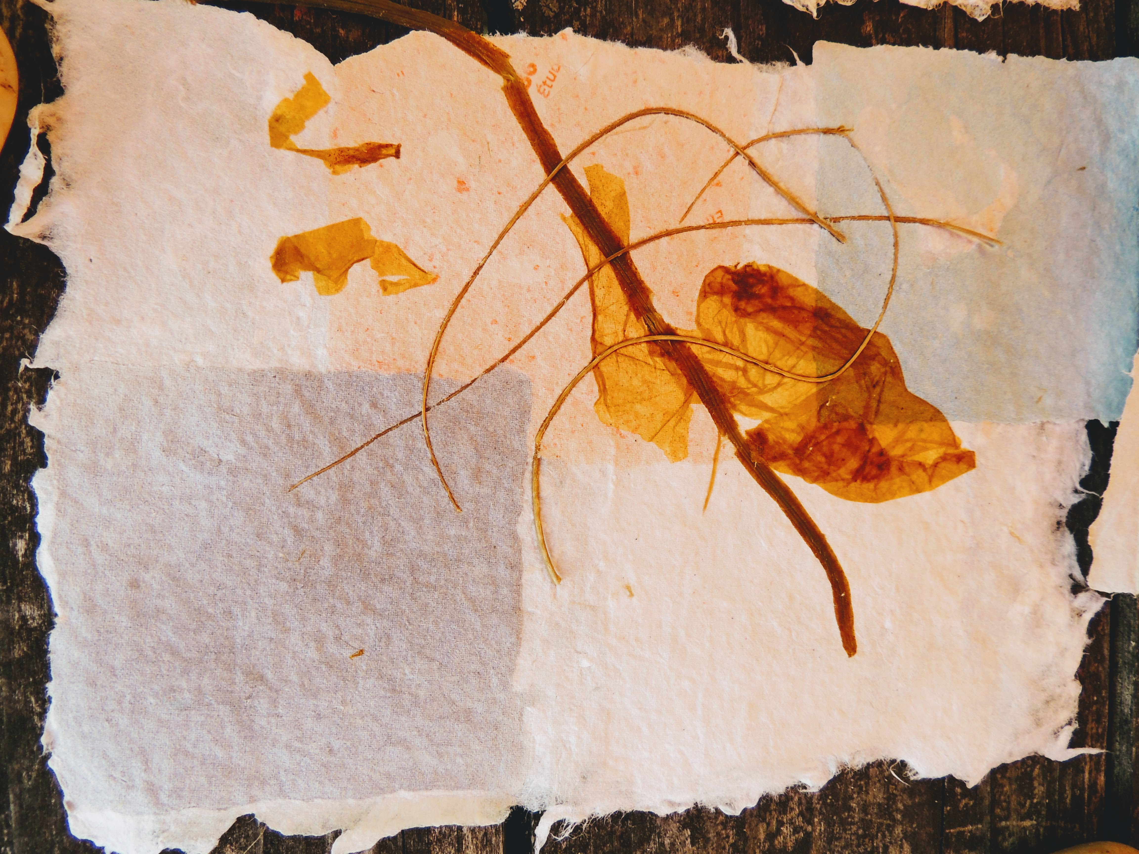 l'Esperluette - Stage : fabrication de papier de plantes et ralisation de luminaires