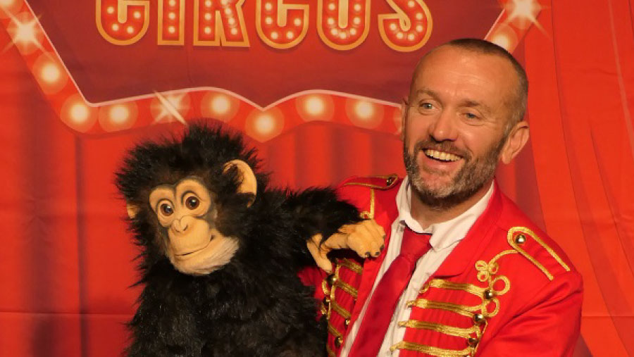 Les animaux font leur cirque
