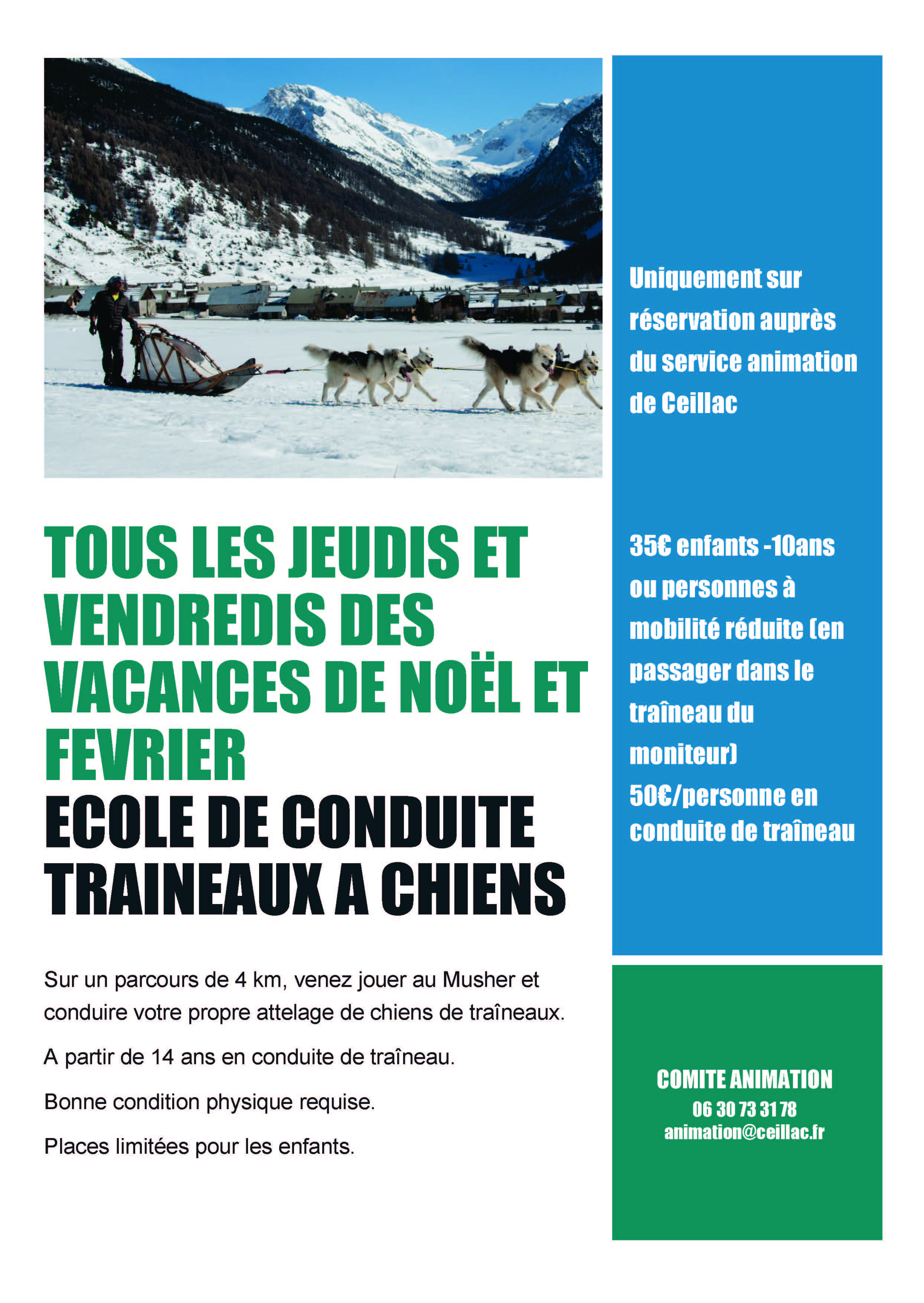 Balade en traineaux  chiens