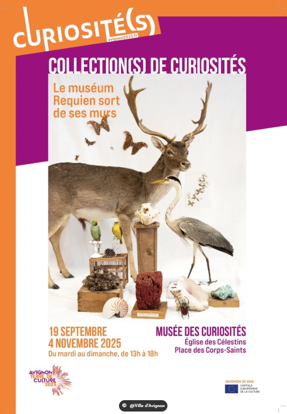 Cabinet de curiosits