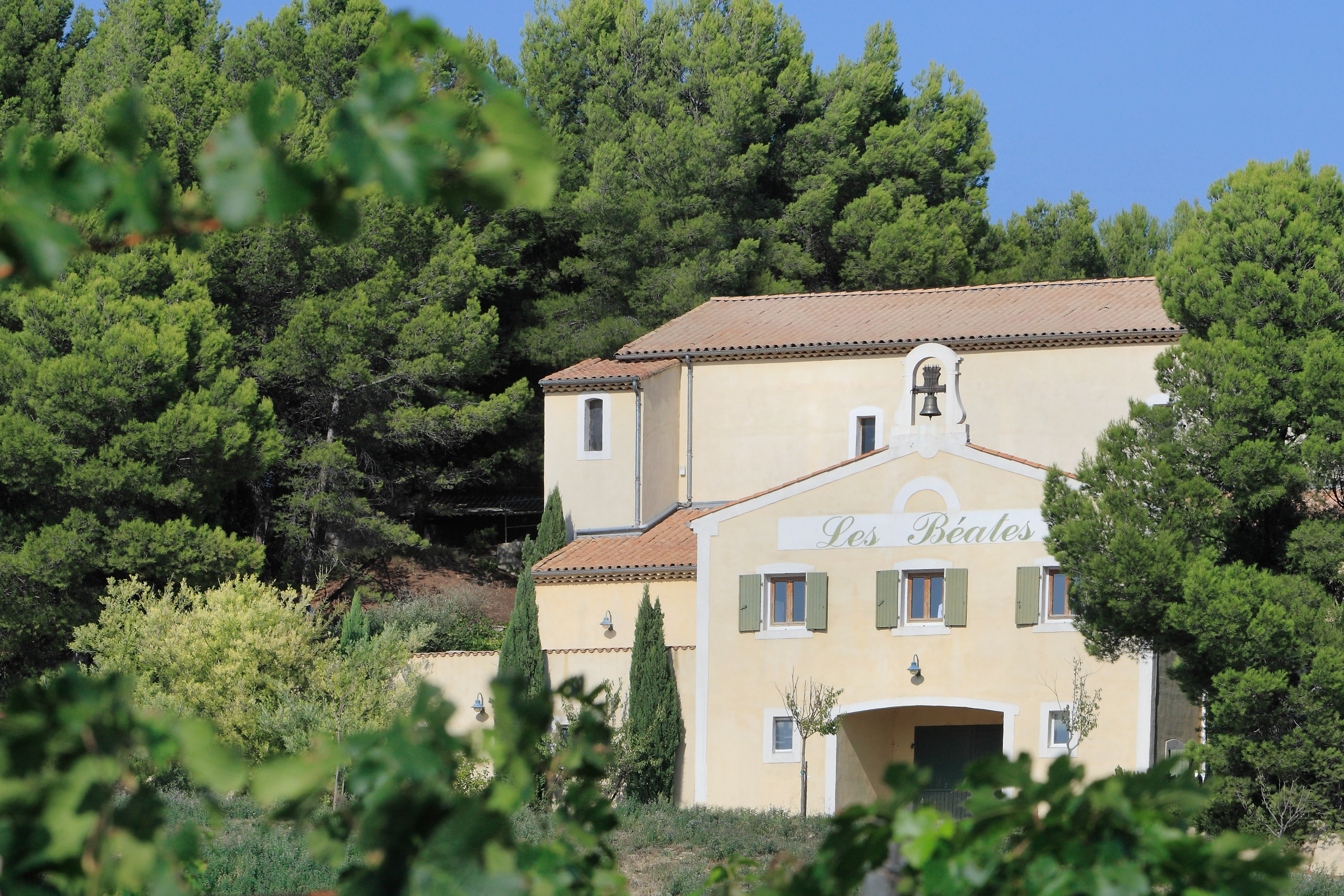 Verticale au Domaine Les Bates