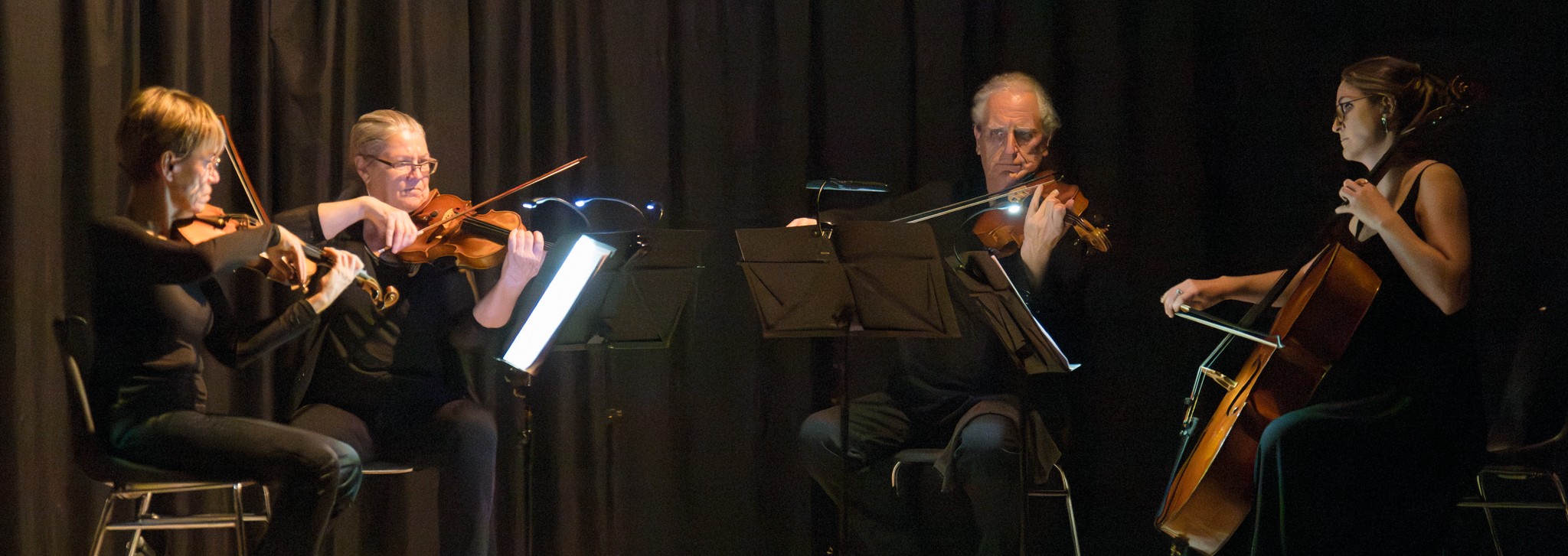 Thatre dans les remparts  : Donne-moi la main, SCHUBERT !