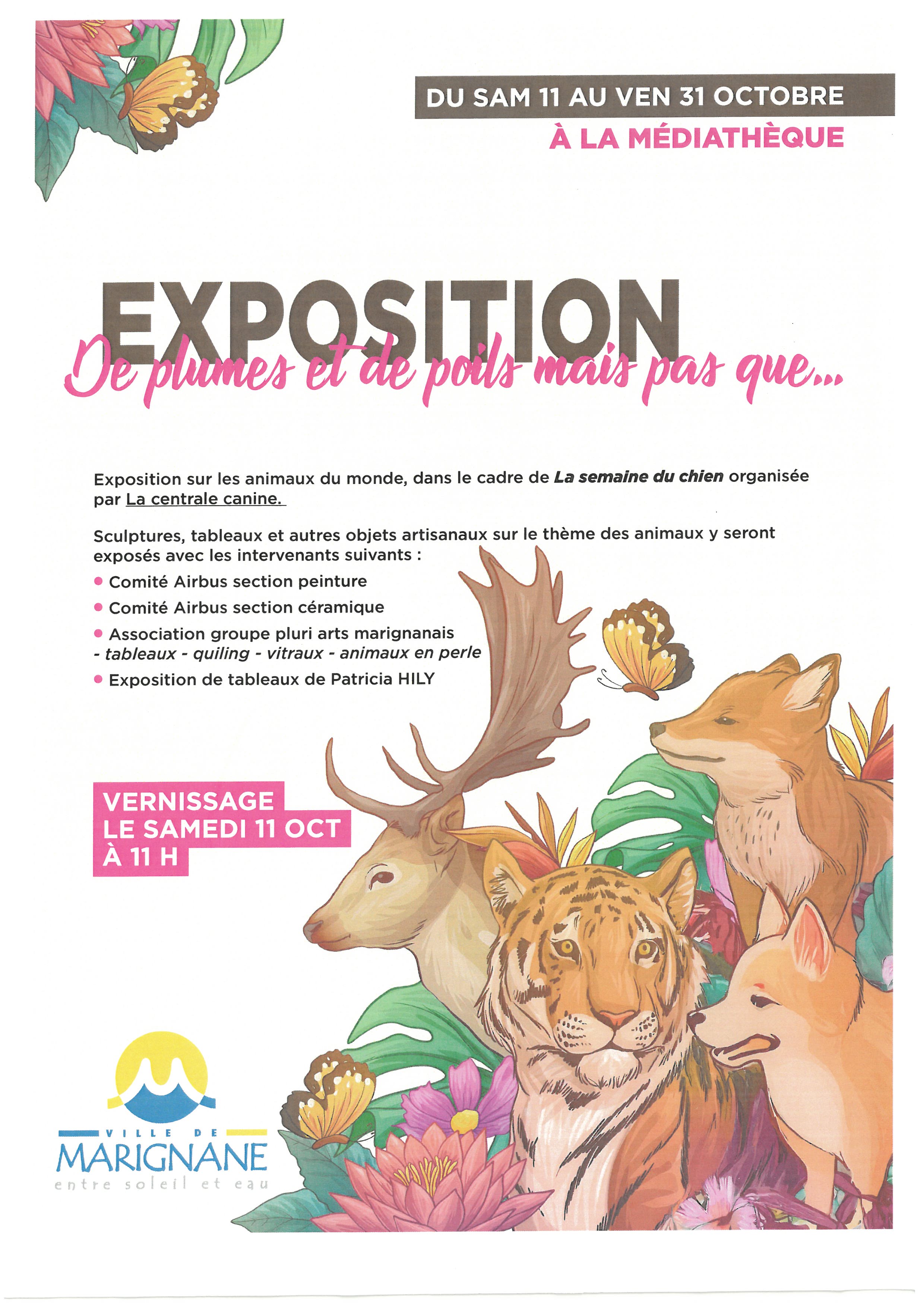 Exposition : De plumes et de poils mais pas que...