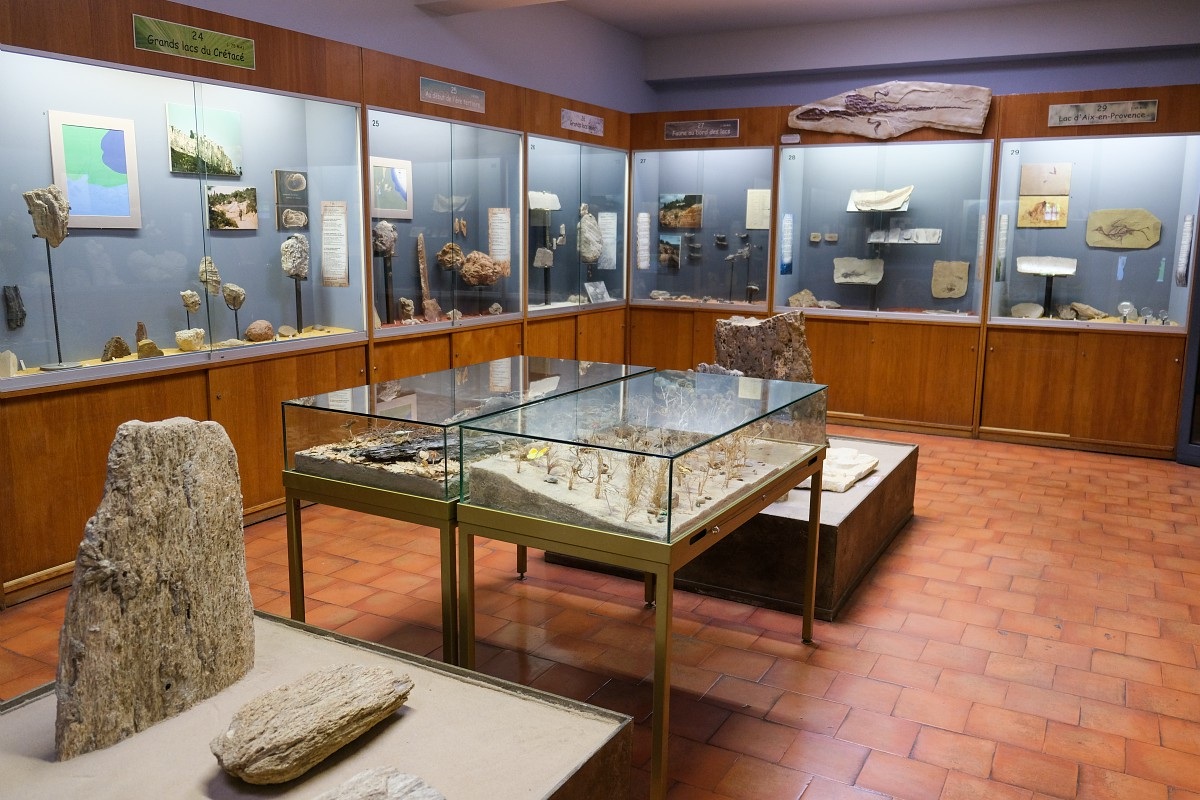 Visite-atelier du mercredi - Herbiers scientifiques et herbiers rvs