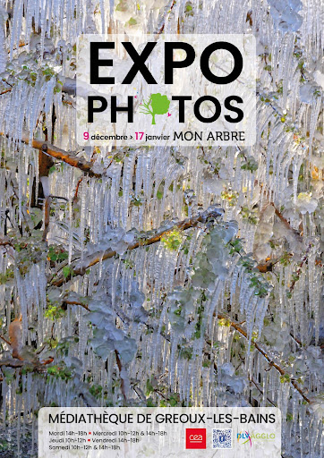 Mon Arbre, exposition de photographies