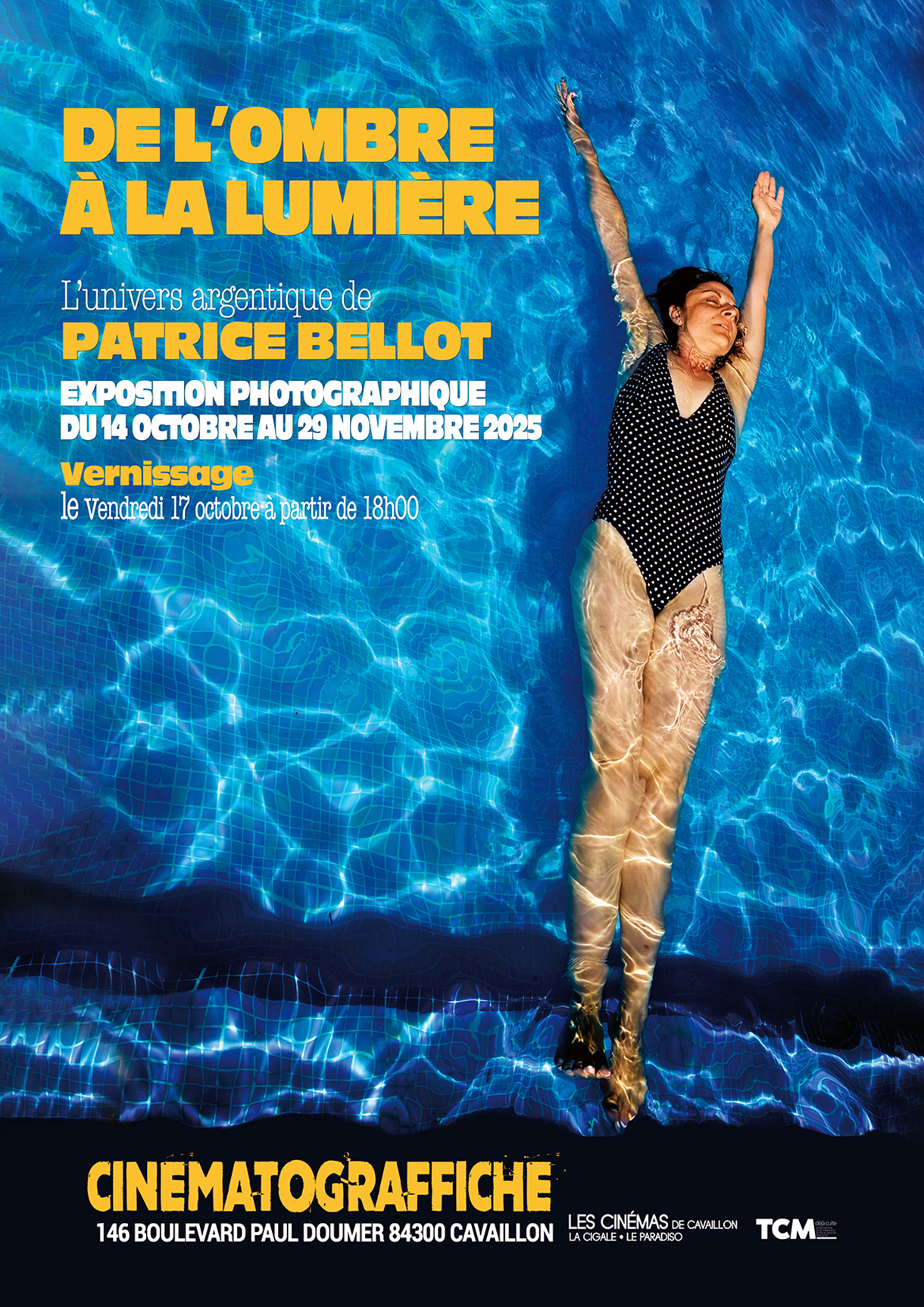 DE LOMBRE  LA LUMIRE : lunivers argentique de PATRICE BELLOT