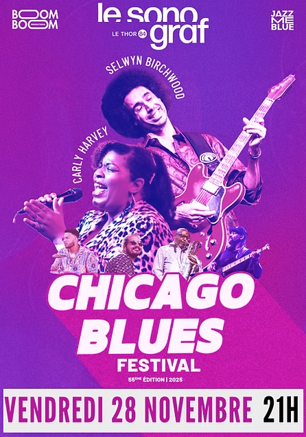 Chicago Blues Festival