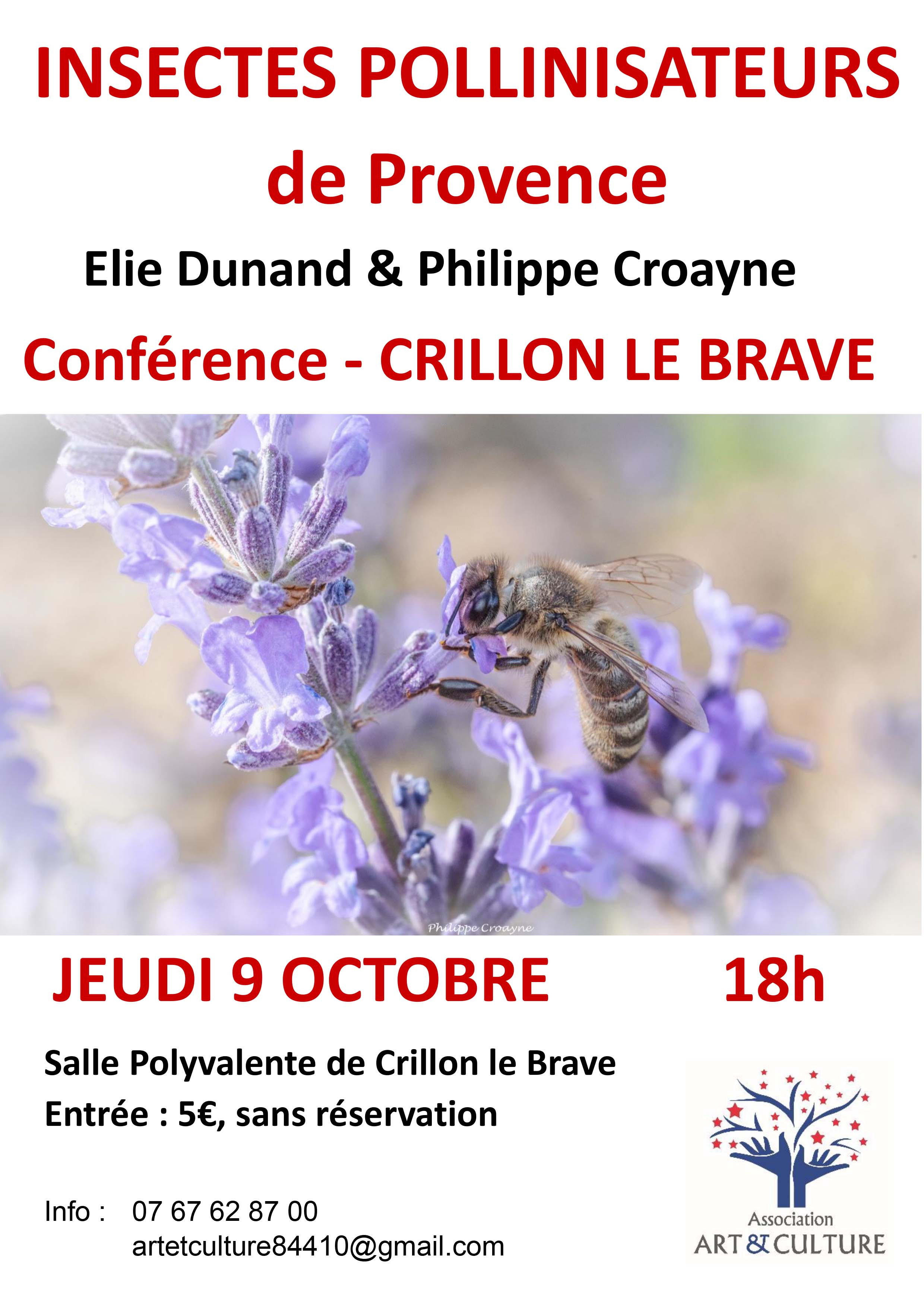 Confrence : Insectes pollinisateurs de Provence