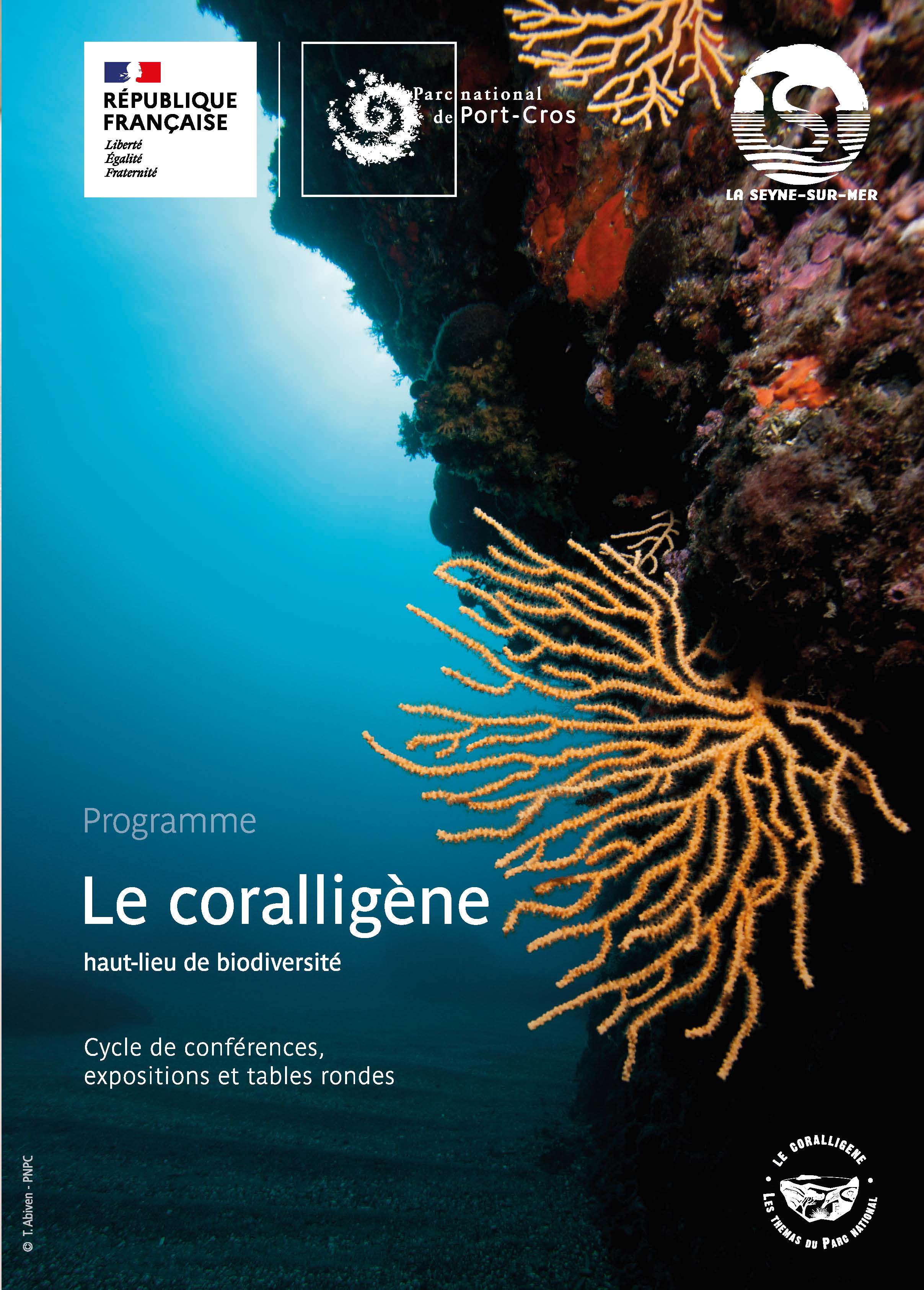 Confrences et table ronde : Coralligne, qui es-tu ?