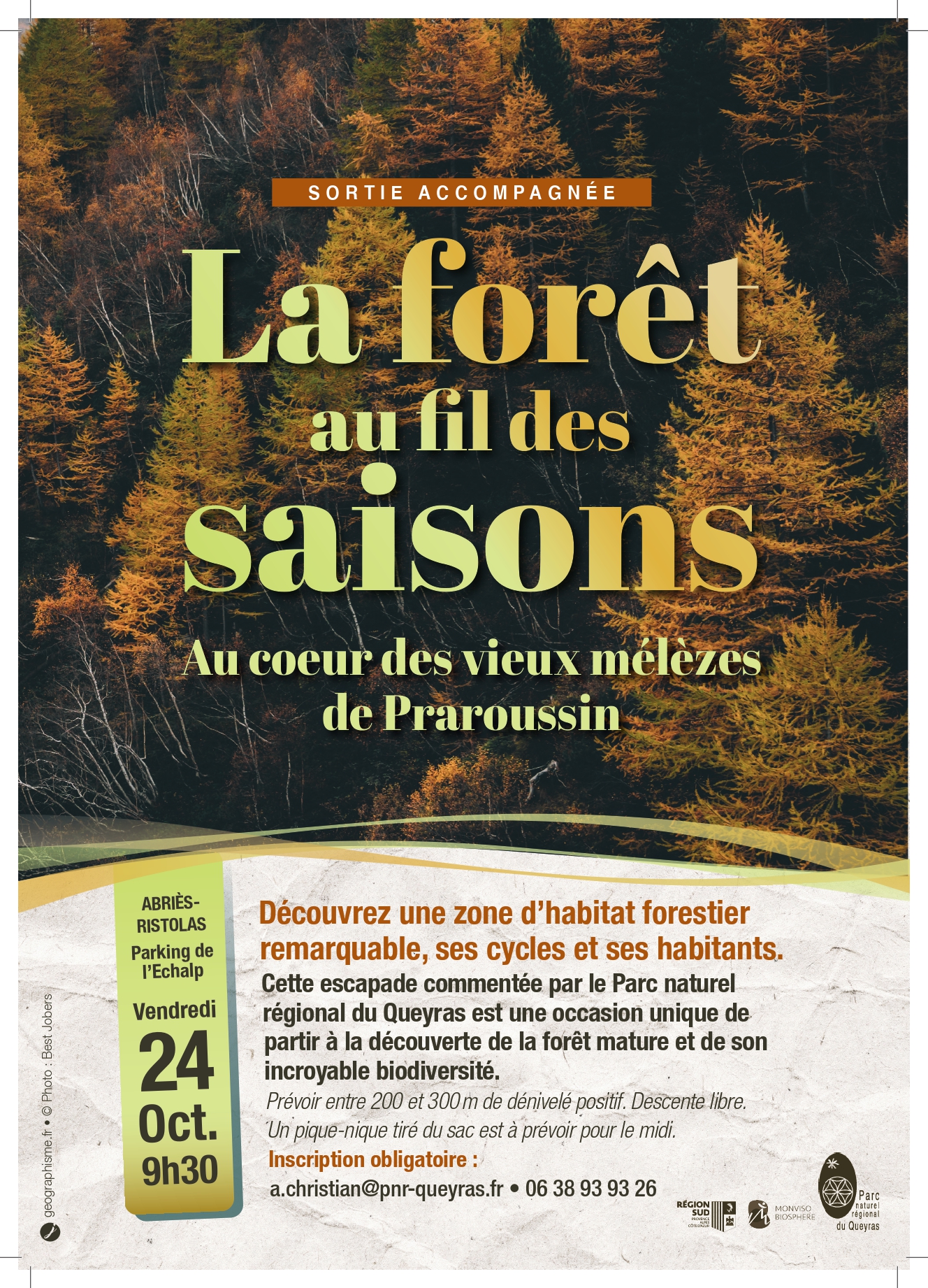 Sortie Parc - La fort au fil des saisons