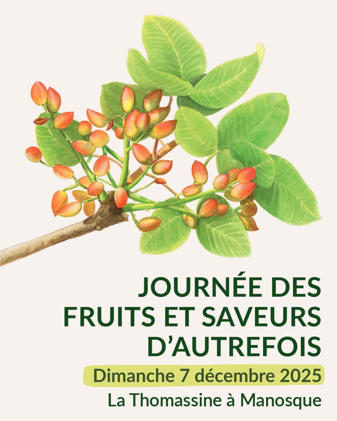 Projection dbat autour de l'agriculture et l'alimentation