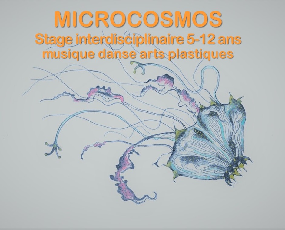 Stage interdisciplinaire musique danse arts plastiques 5-12 ans
