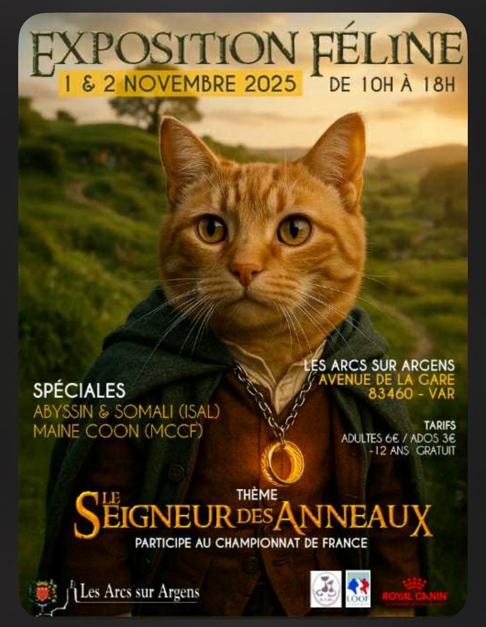 Exposition fline internationale sur le thme Seigneur des Anneaux