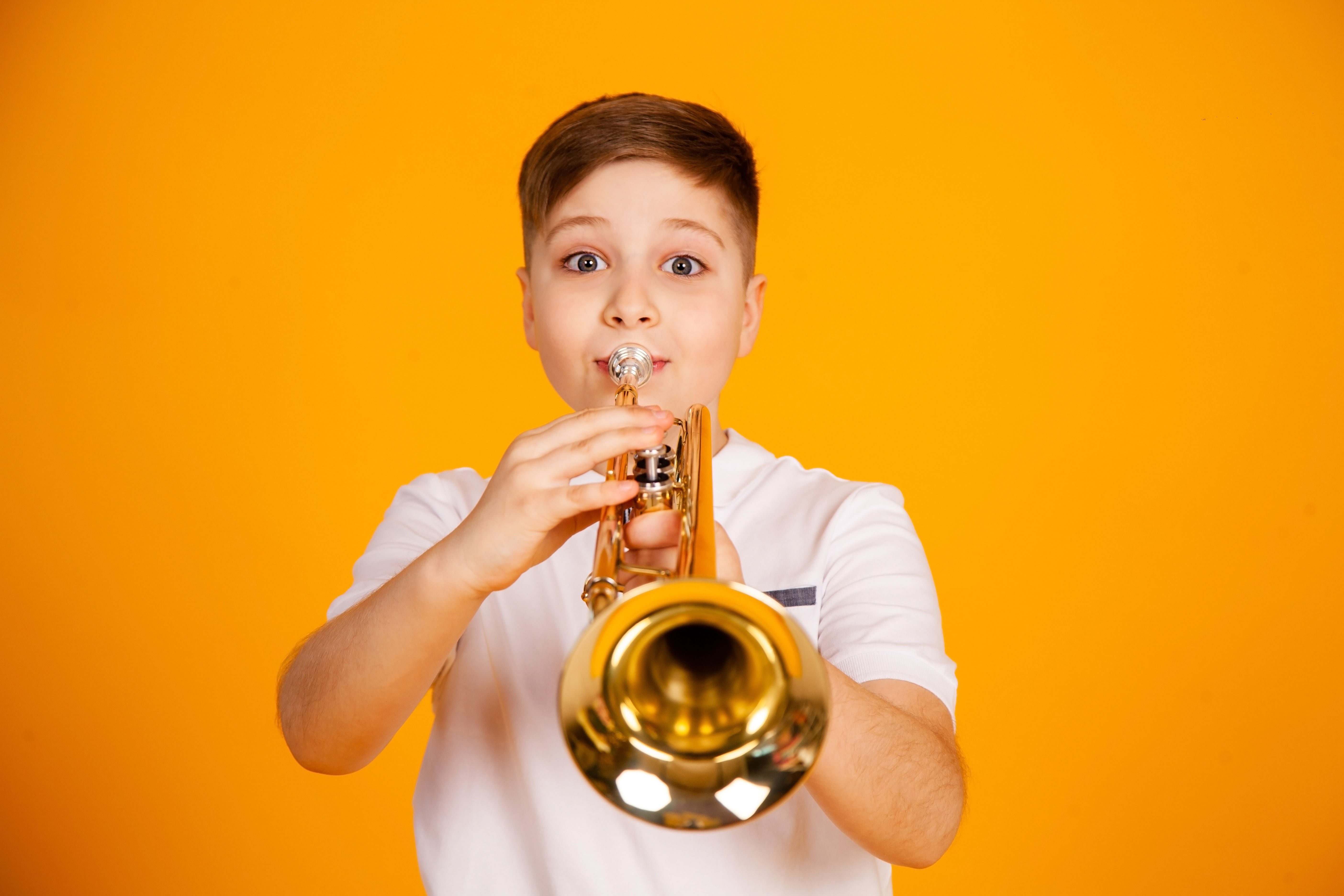 Petite musique  la BIB
