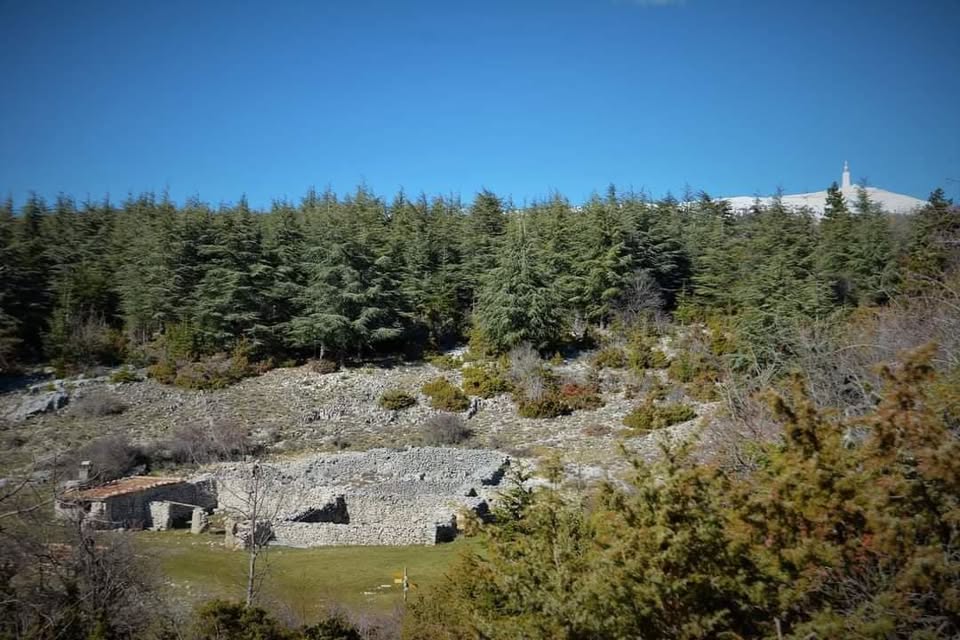 Les Jas du Ventoux
