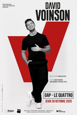Spectacle Humoristique de David Voinson