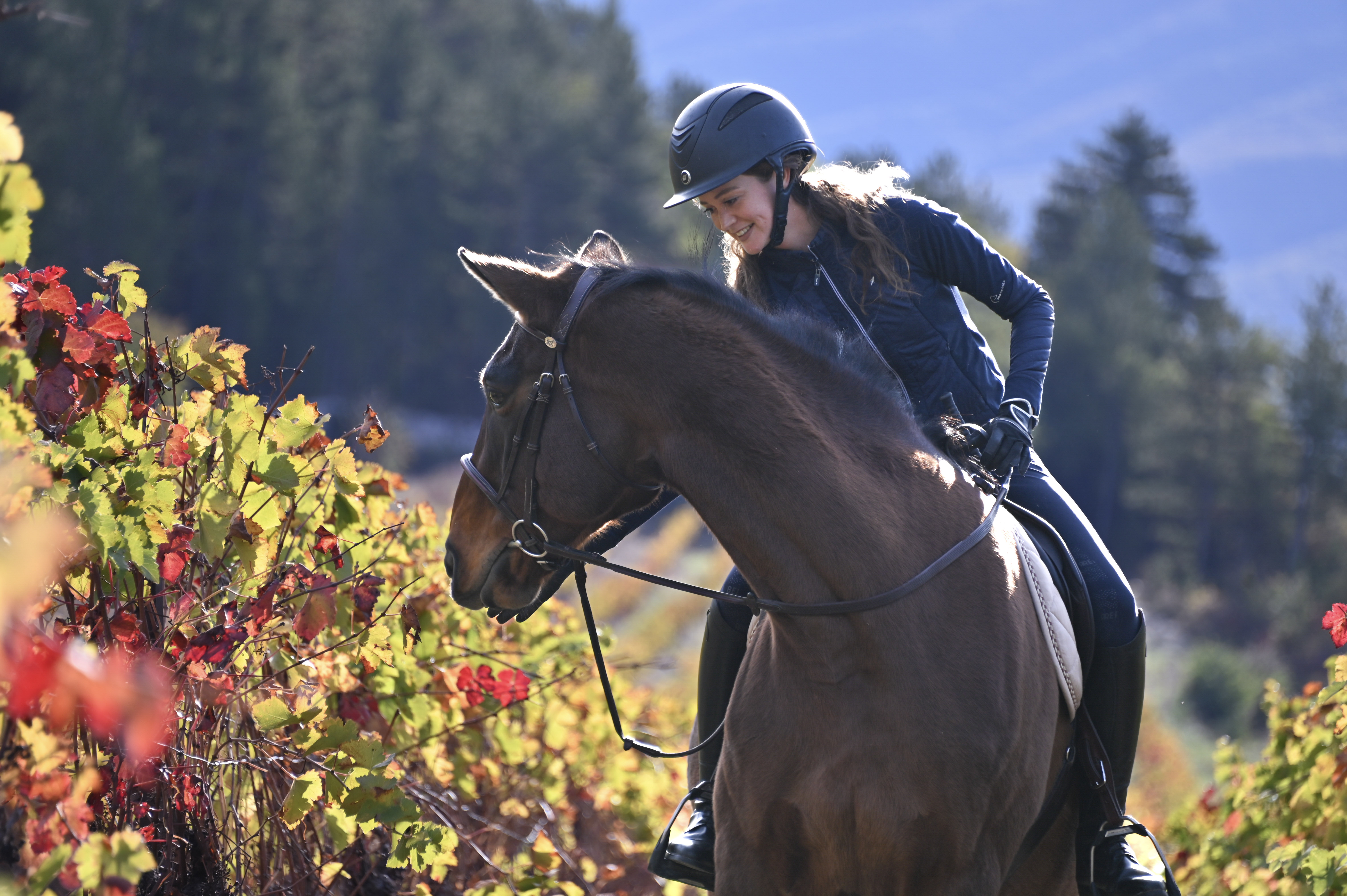 Balades  la dcouverte des couleurs d' automne au rythme des poneys et des chevaux