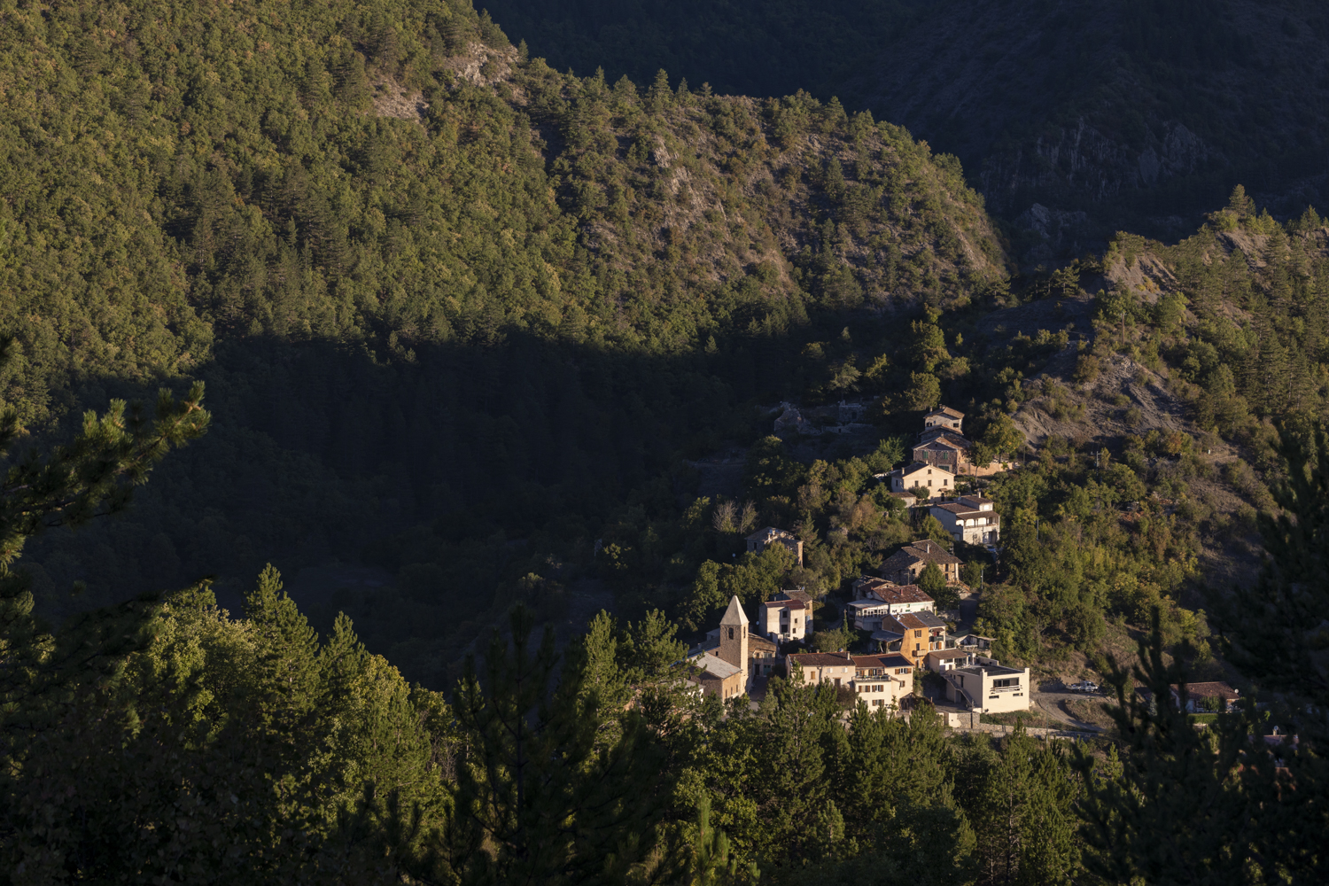 Sortie : La fort dans tous ses tats