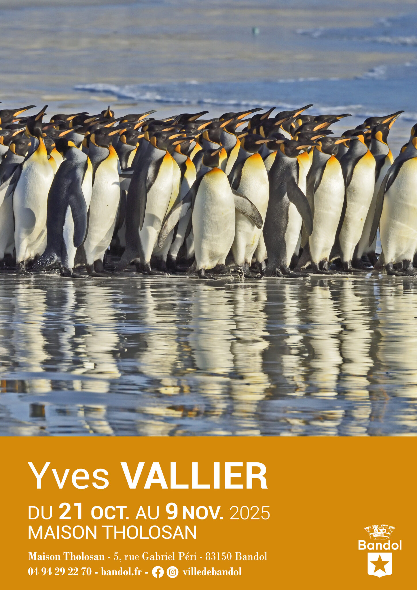 Yves Vallier
