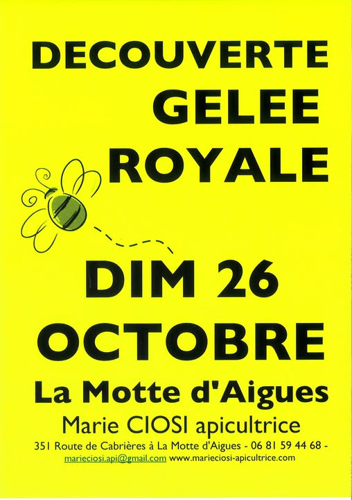 Dcouverte de la gele royale  la Motte d'Aigues
