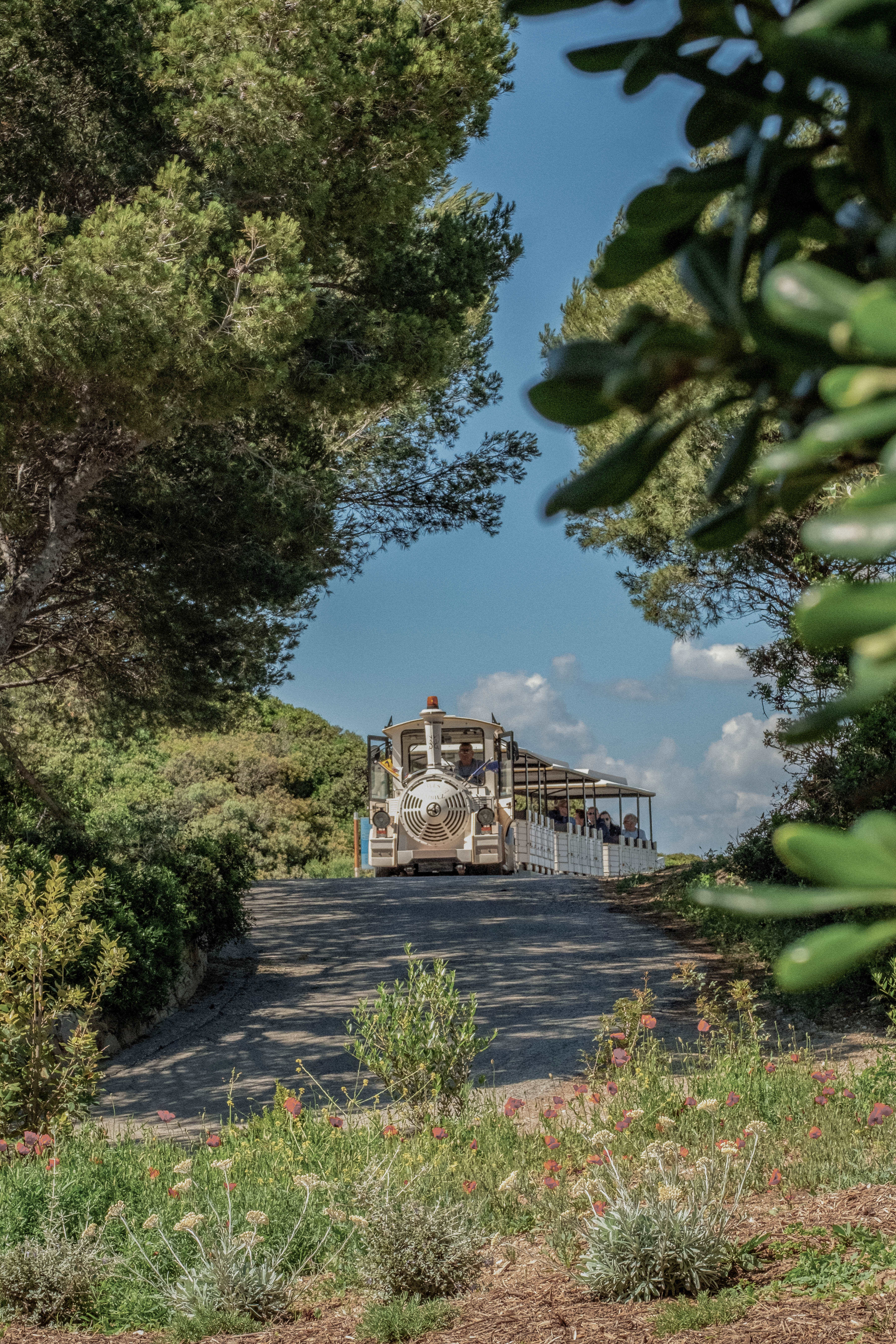 Le petit train enchant