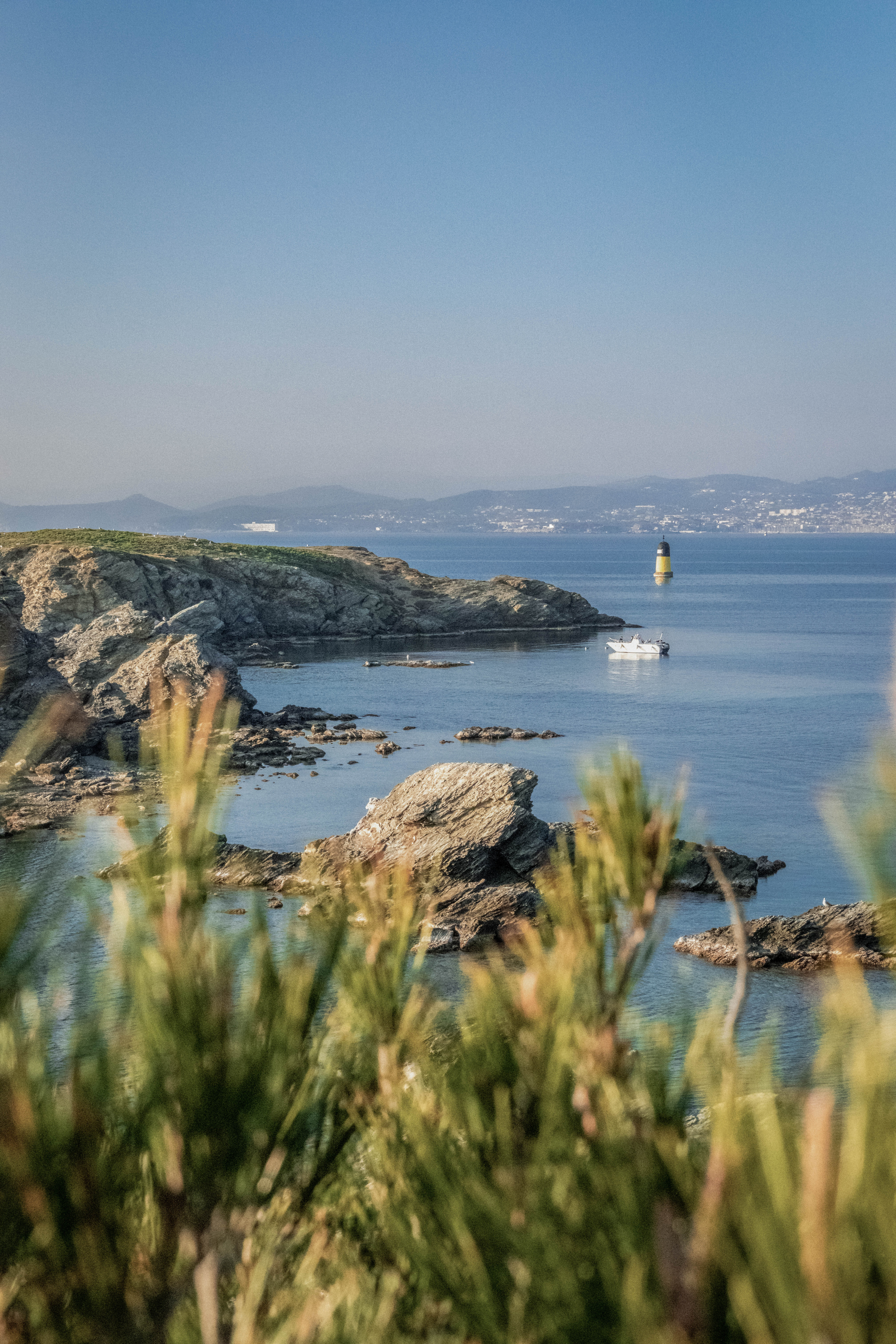 Balade des botanistes en herbe