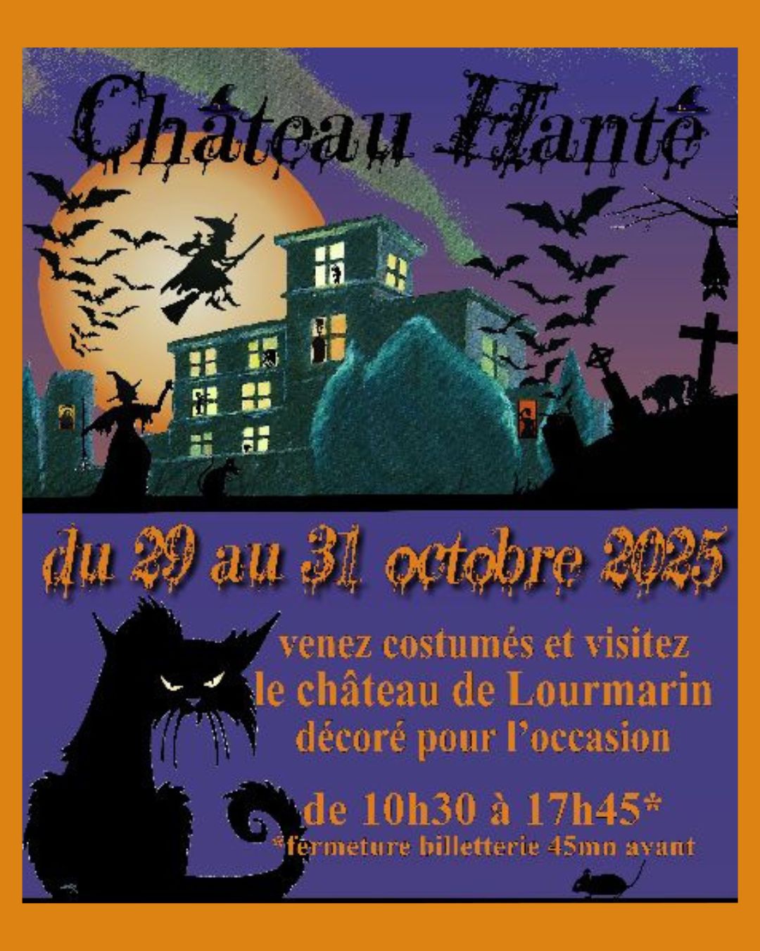 Chteau hant de Lourmarin