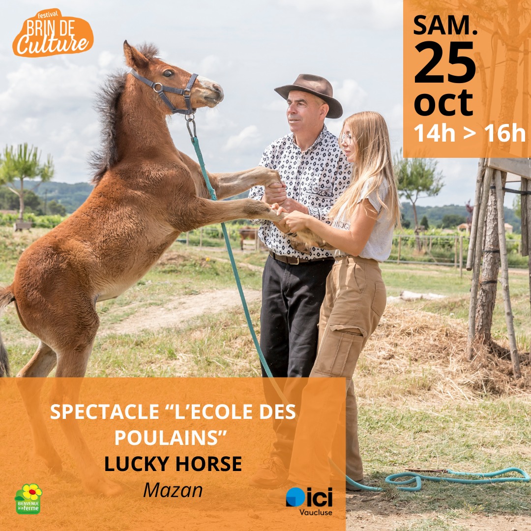 Spectacle l'cole des poulains
