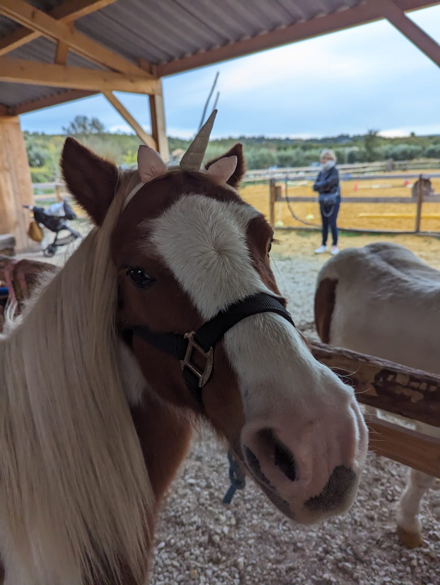 Rando  cheval avec les Sabots du Limon