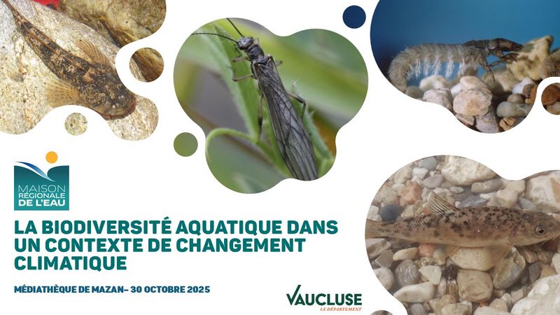 Confrence de la Maison rgionale de leau : La biodiversit aquatique dans un contexte de changement climatique