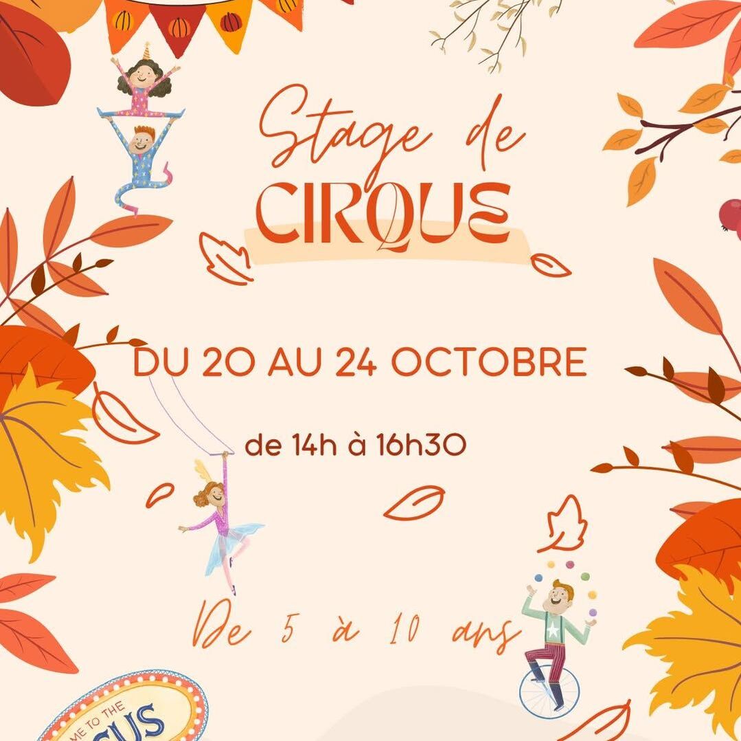 Stage de Cirque