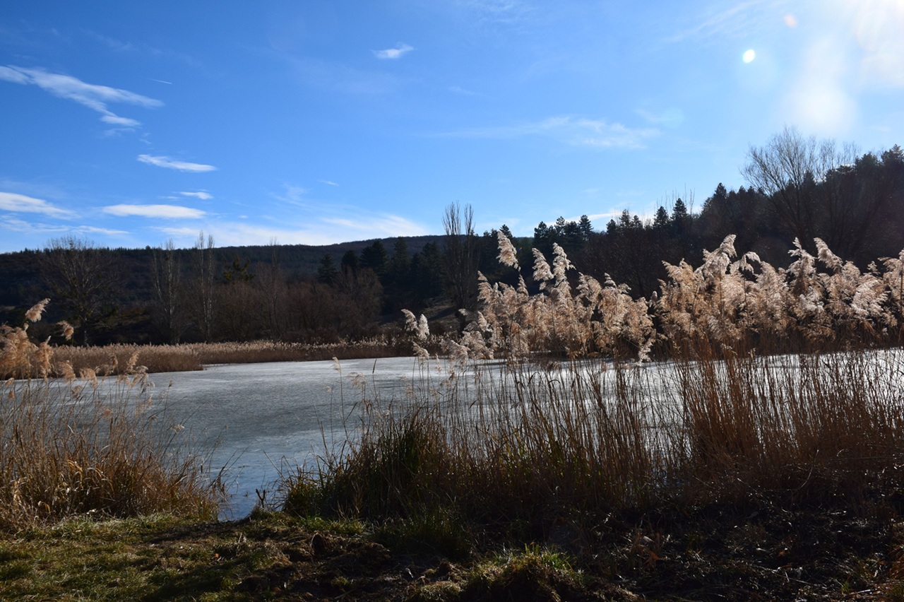 Sortie naturaliste