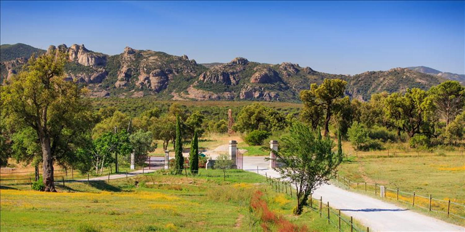 Le Ch�teau de ma m�re