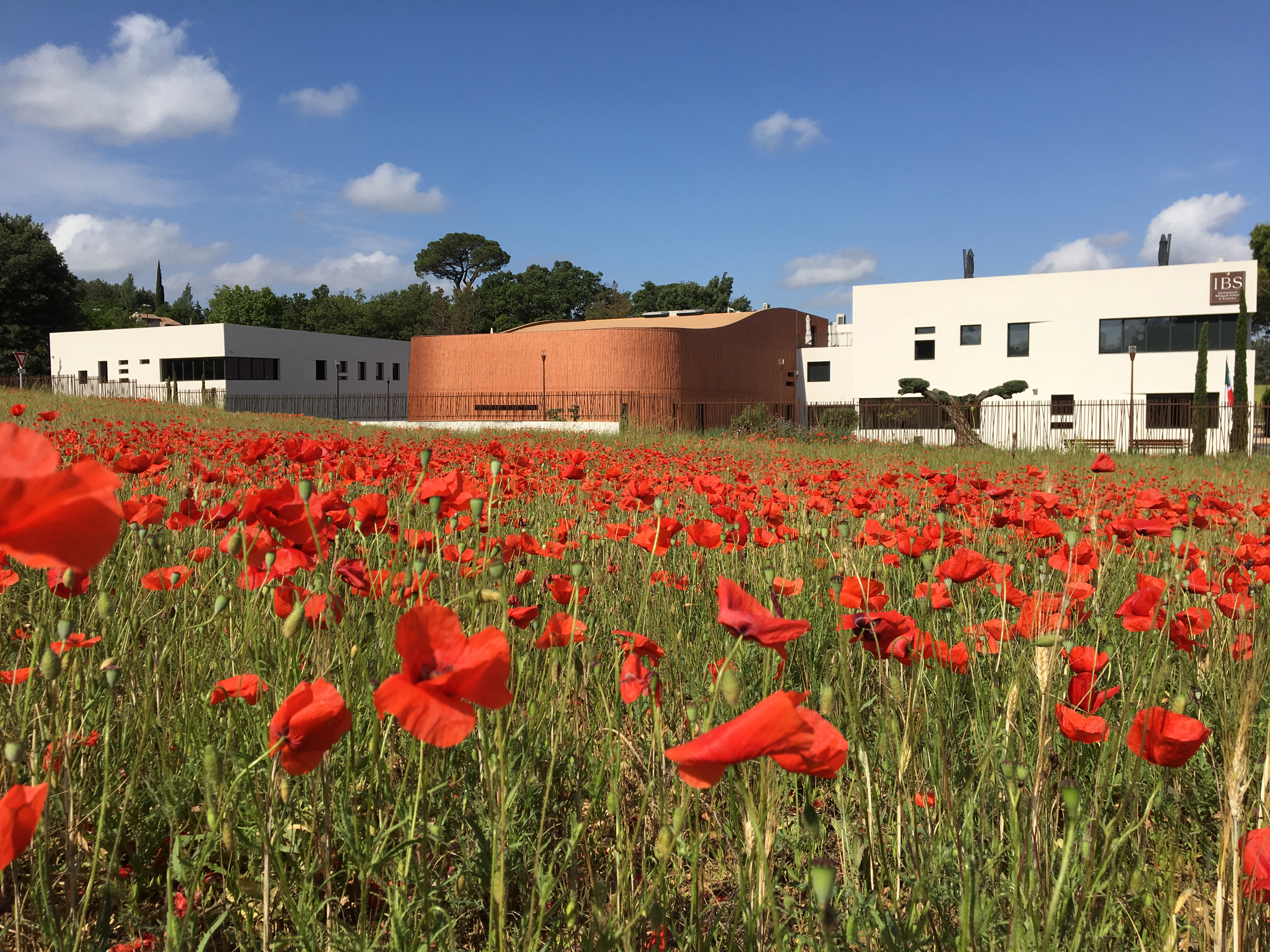 Portes Ouvertes - cole Internationale IBS of Provence