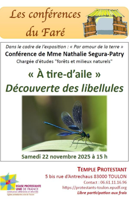Confrence du Far - Dcouverte des libellules 